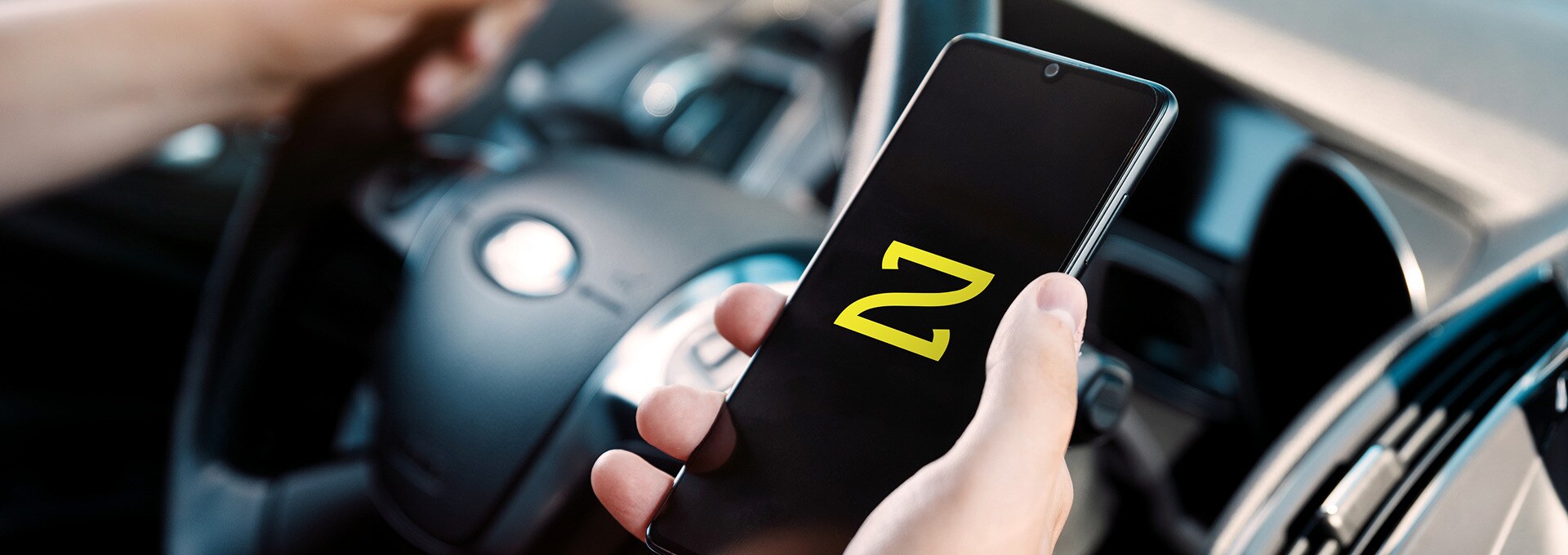 Auzo driving service