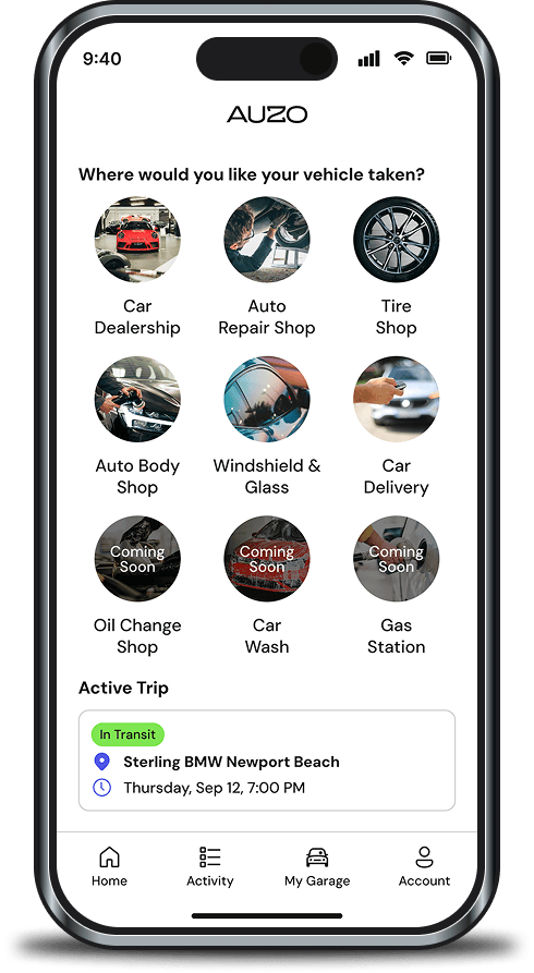 Screenshot of the Auzo App with the Service Selection screen